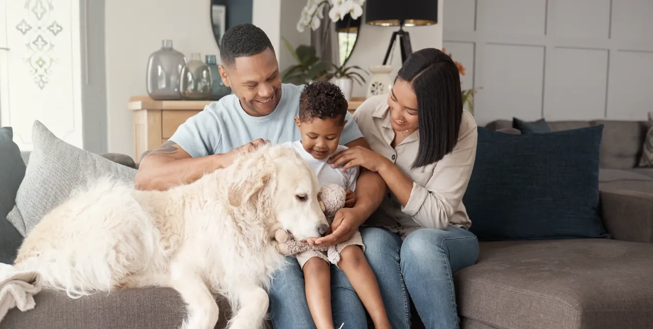 Indoor Air Quality banner